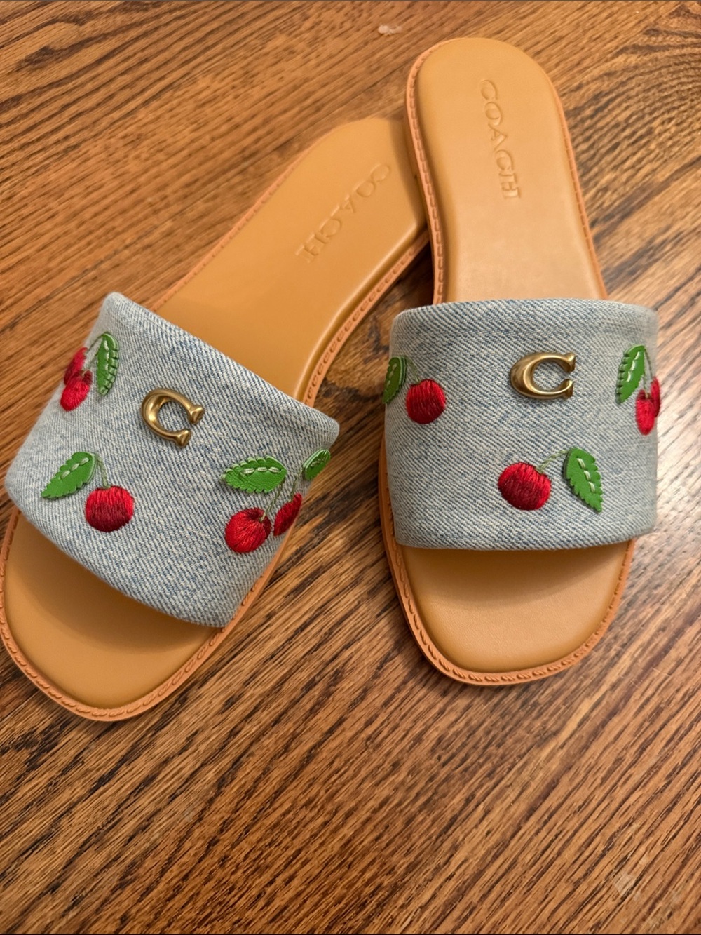 COACH Holly Denim Cherry Slides